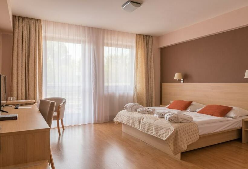 Номер Стандарт, Wellness Hotel Patince