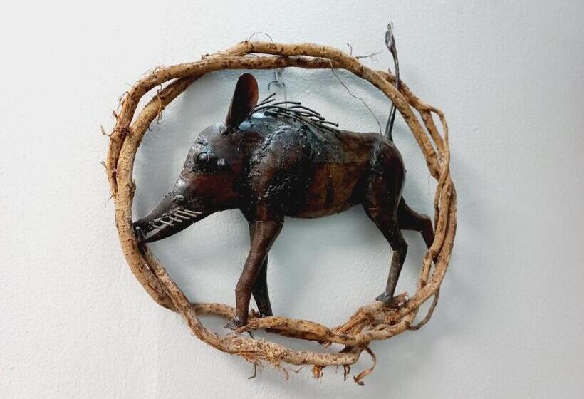 חדר משפחתי, Karoo Life B&b