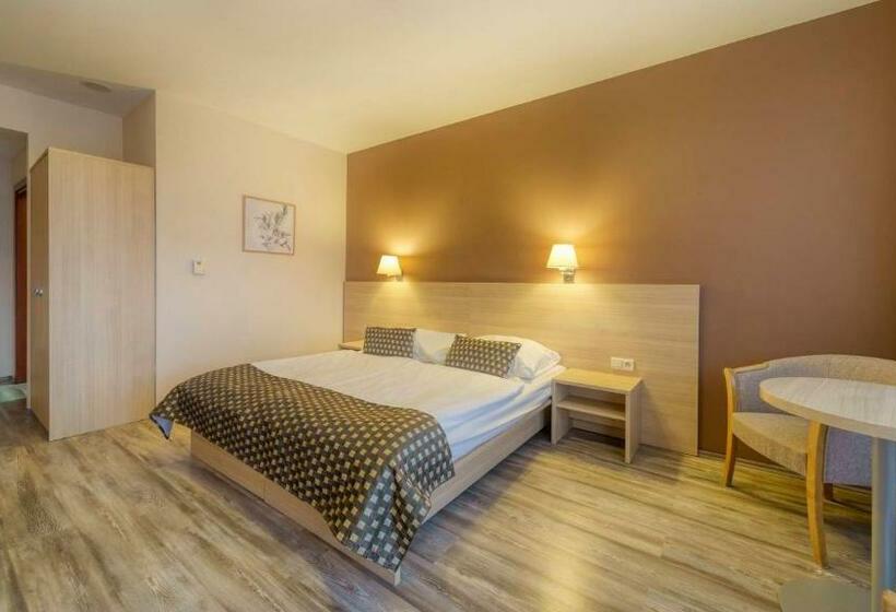 Номер Стандарт с доступом в Спа, Wellness Hotel Patince