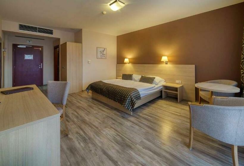 Номер Стандарт с доступом в Спа, Wellness Hotel Patince