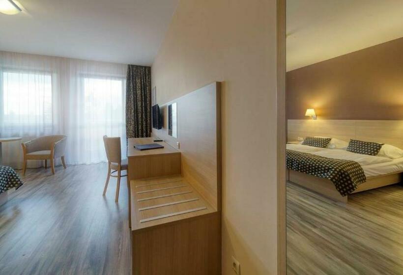 Номер Стандарт с доступом в Спа, Wellness Hotel Patince