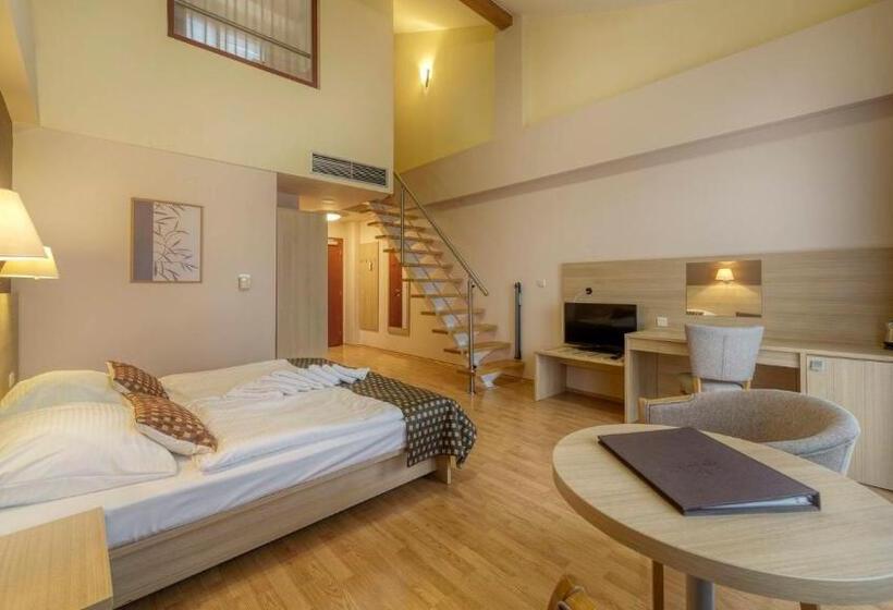 Люкс Дюплекс, Wellness Hotel Patince