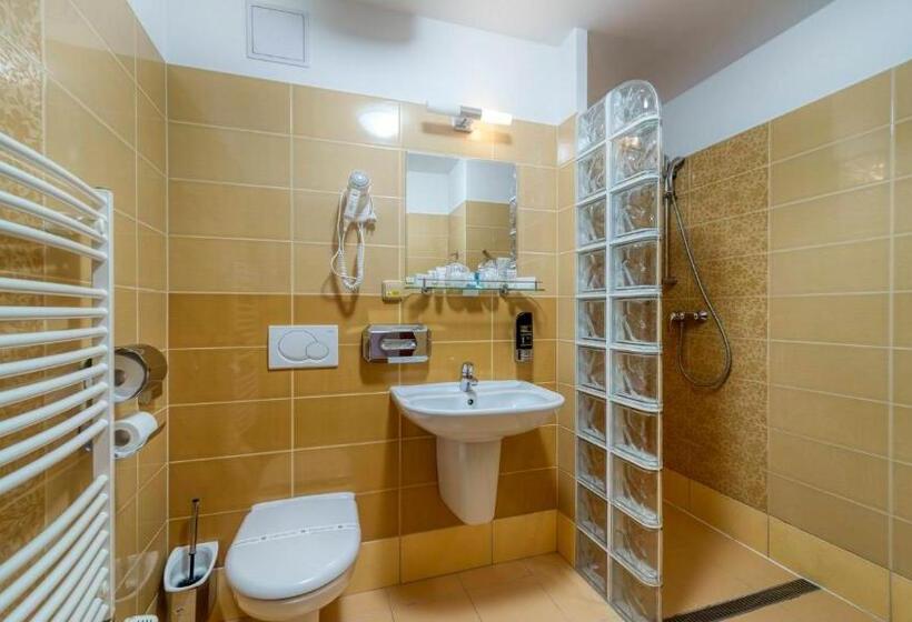 Номер Стандарт, Wellness Hotel Patince