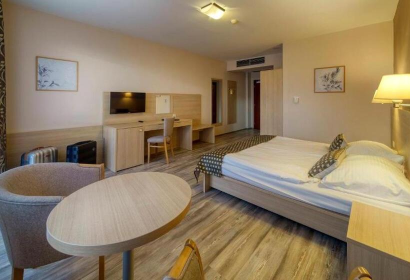 Номер Стандарт, Wellness Hotel Patince