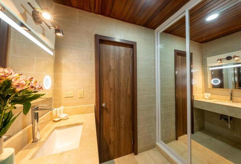 غرفة قياسية لذوى الاحتياجات الخاصة, Faranda Guayacanes, A Member Of Radisson Individuals