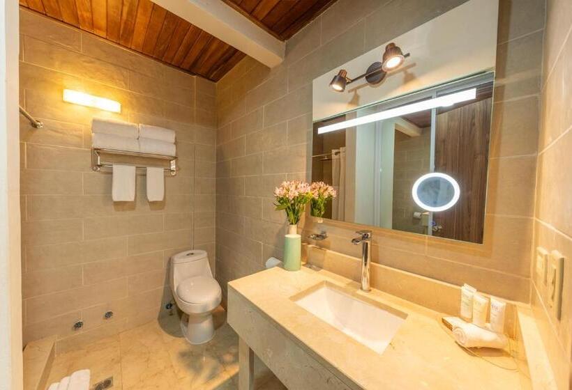 غرفة قياسية لذوى الاحتياجات الخاصة, Faranda Guayacanes, A Member Of Radisson Individuals