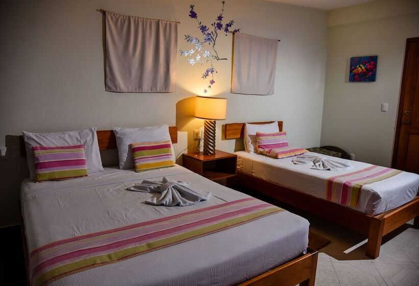 اتاق استاندارد سه نفره, Akumal