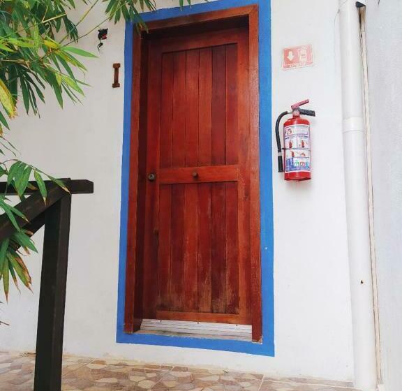 베이직 3인 룸, Jardin Mahahual