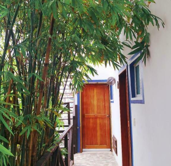 スタンダード4人部屋, Jardin Mahahual