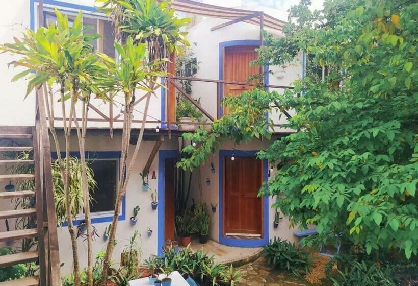 标准间, Jardin Mahahual