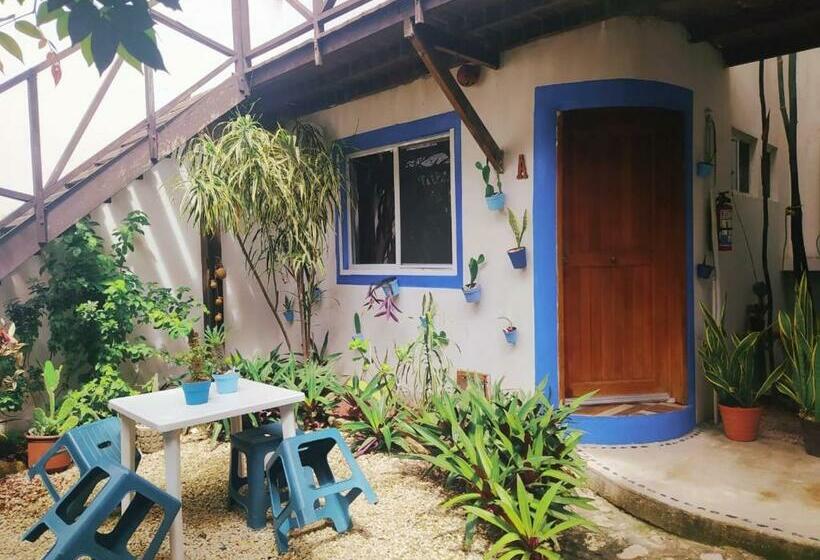 スタンダードルーム, Jardin Mahahual