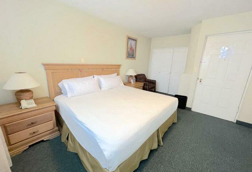 سوییت جونیور, Bio Boutique Metepec