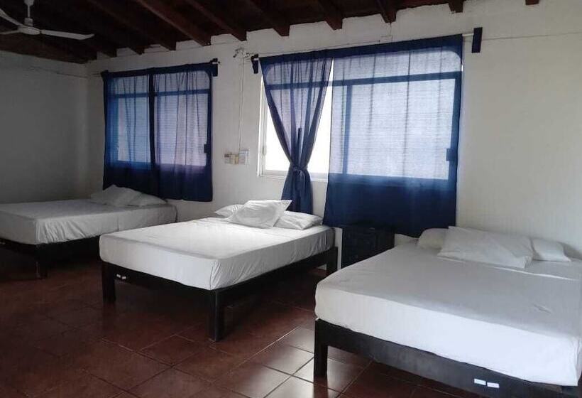 חדר סטנדרט, & Hostal Mayflower