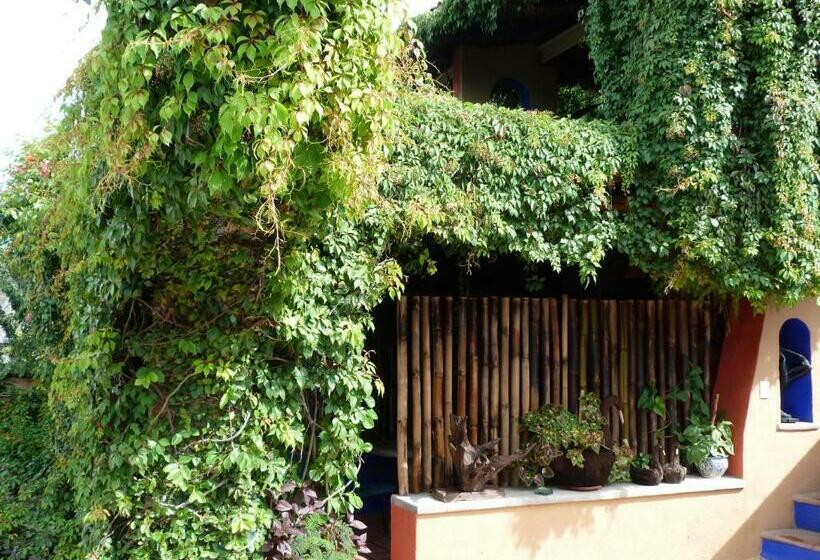 デラックスルーム, La Casa Del Guamúchil