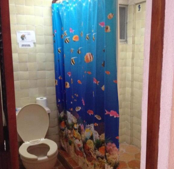 标准间, Safari Inn