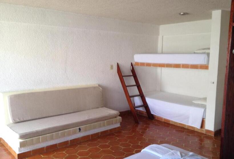 家庭间, Safari Inn