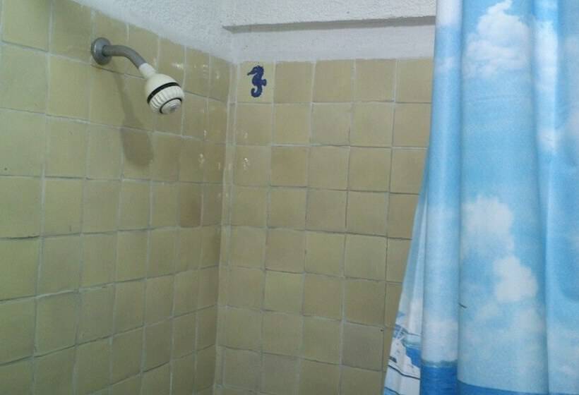 标准间, Safari Inn