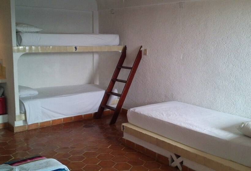 家庭间, Safari Inn