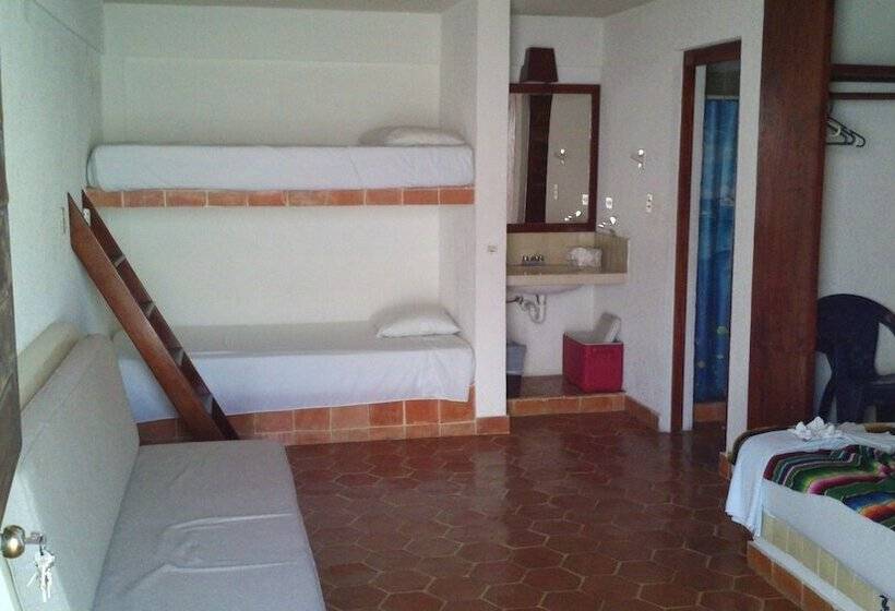 家庭间, Safari Inn