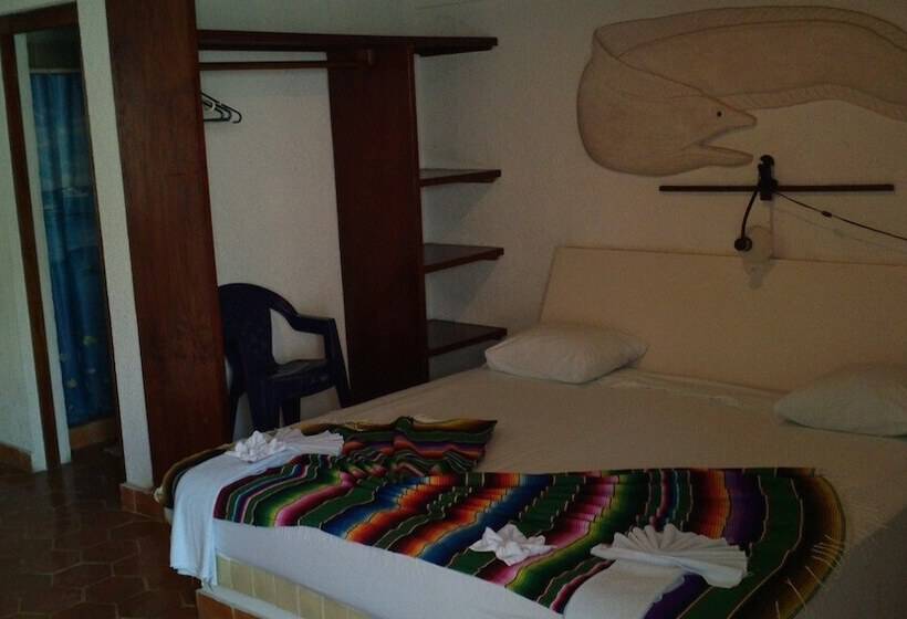 اتاق خانوادگی, Safari Inn