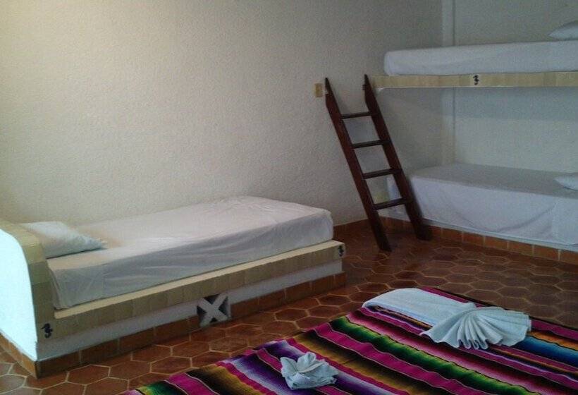 家庭间, Safari Inn