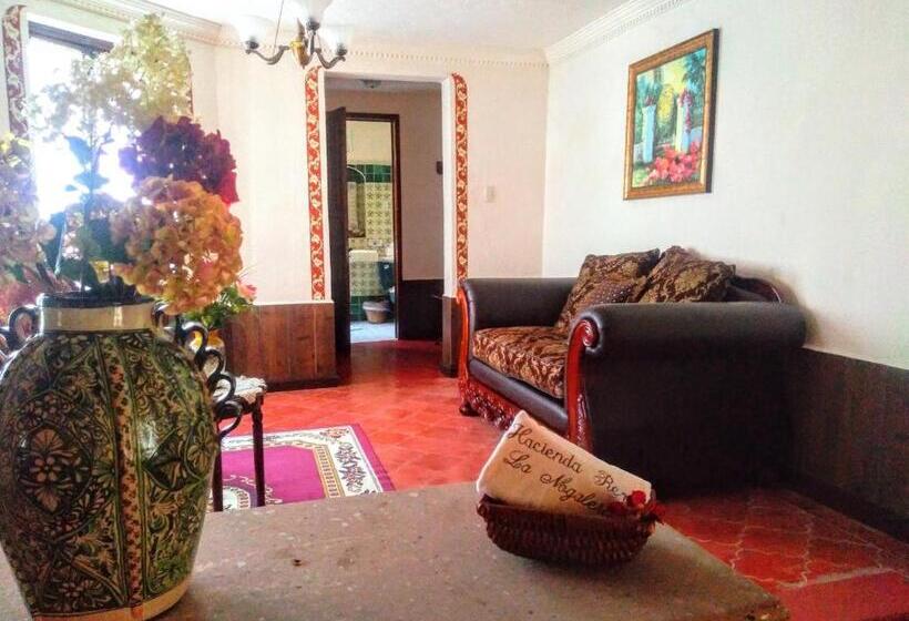 جناح, Spa Hacienda Real La Nogalera