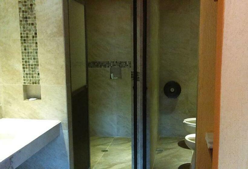 غرفه قياسيه سريرين مزدوجين, Aeropuerto