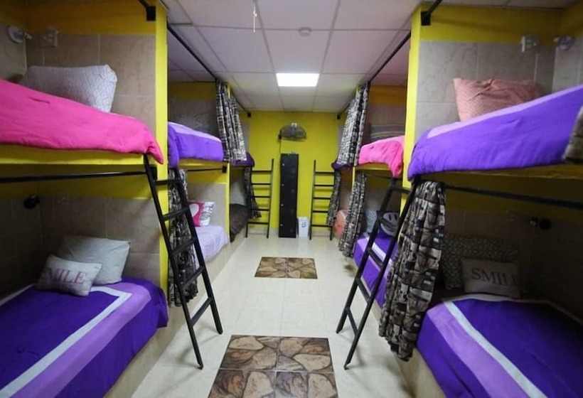 共用房间的床, Windmill Hostal