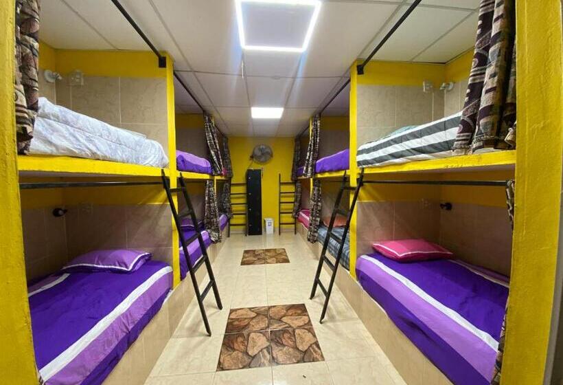 Кровать в Общей Комнате, Windmill Hostal