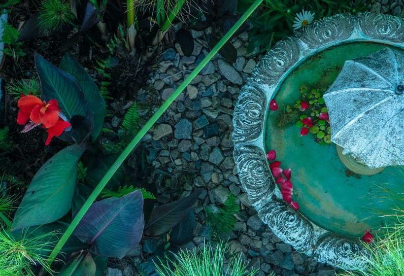 سوییت, La Atrevida