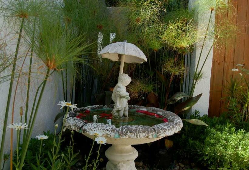 سوییت, La Atrevida