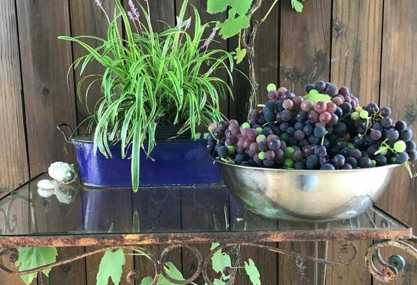 سوییت, La Atrevida