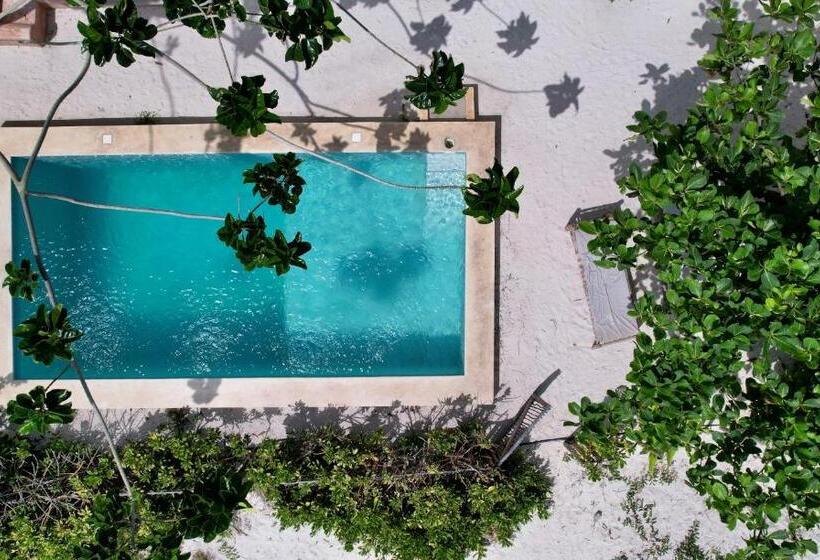 Семейный Номер Deluxe, Pili Pili Beach Bungalows