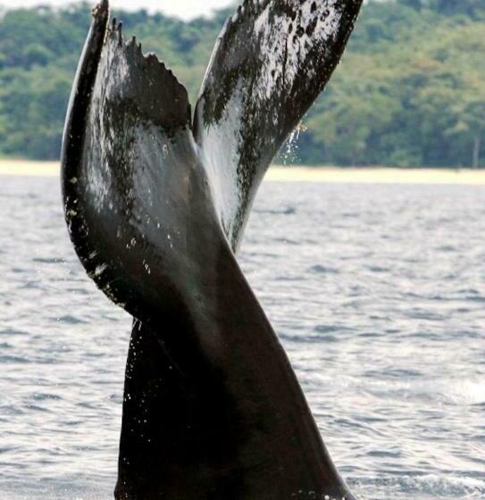 스탠다드 스튜디오, Casa Del Sol Bed And Breakfast