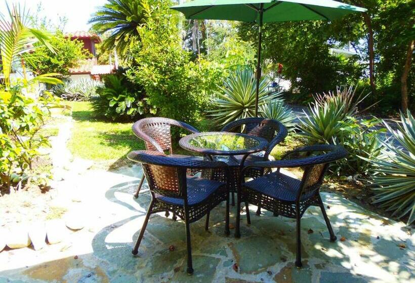 스탠다드 스튜디오, Casa Del Sol Bed And Breakfast