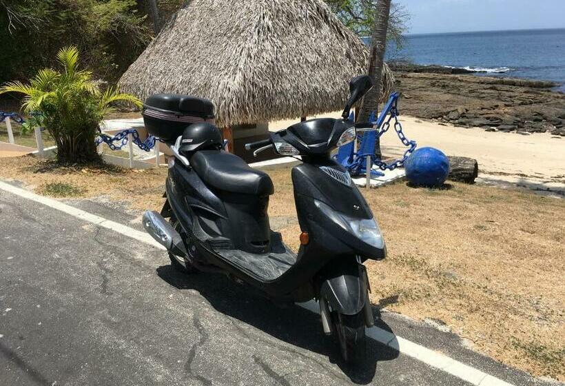 스탠다드 스튜디오, Casa Del Sol Bed And Breakfast