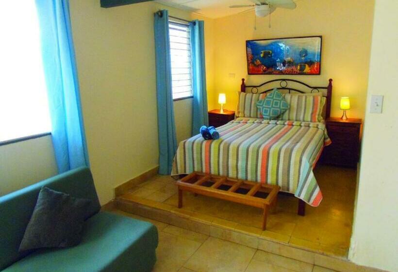 스탠다드 스튜디오, Casa Del Sol Bed And Breakfast