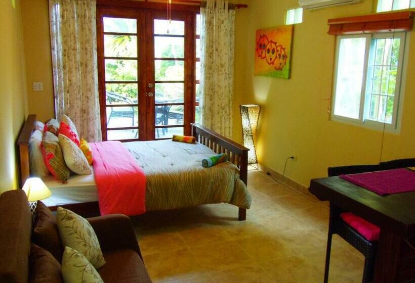 스탠다드 스튜디오, Casa Del Sol Bed And Breakfast