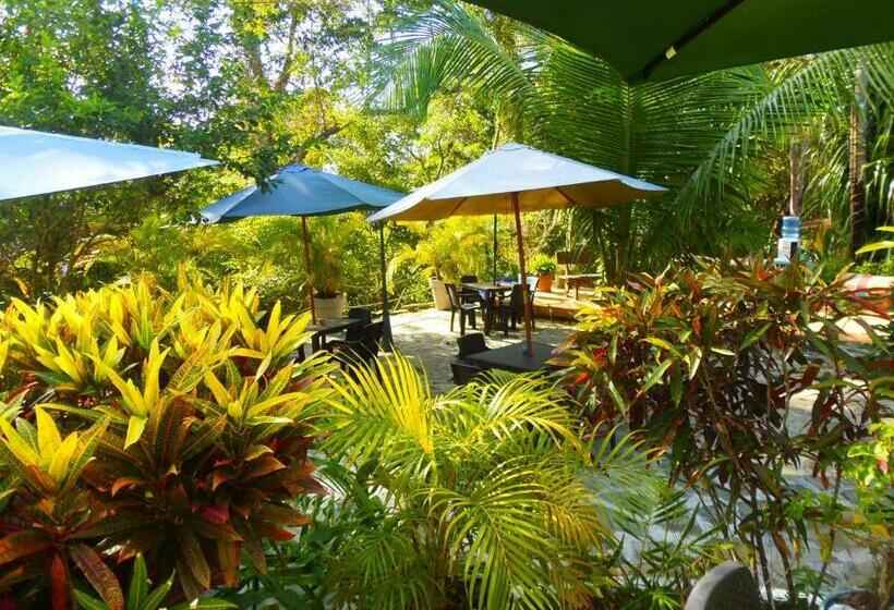 스탠다드 스튜디오, Casa Del Sol Bed And Breakfast