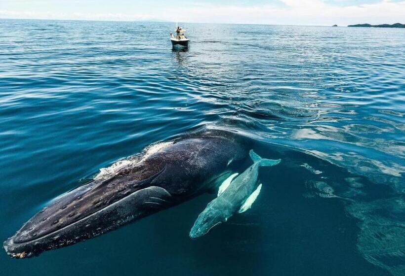 스탠다드 스튜디오, Casa Del Sol Bed And Breakfast