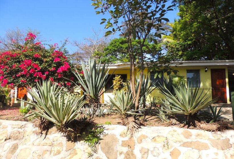 스탠다드 스튜디오, Casa Del Sol Bed And Breakfast