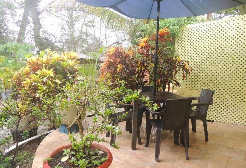Номер Стандарт, Casa Del Sol Bed And Breakfast