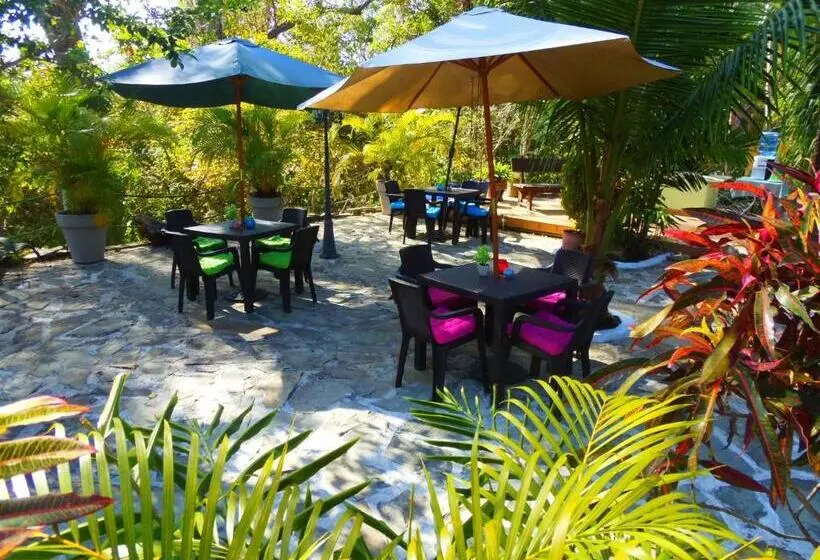 Standard-huone, Casa Del Sol Bed And Breakfast