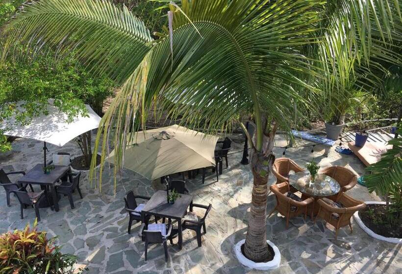 스탠다드 룸, Casa Del Sol Bed And Breakfast