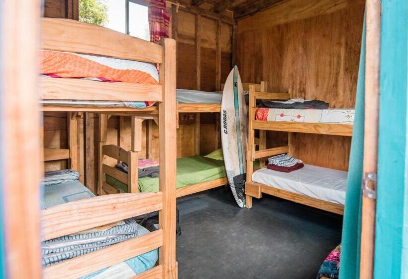 스탠다드 룸, Compay Hostel Punta Del Diablo