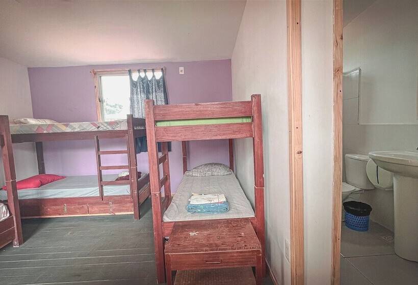 공동 객실, Compay Hostel Punta Del Diablo