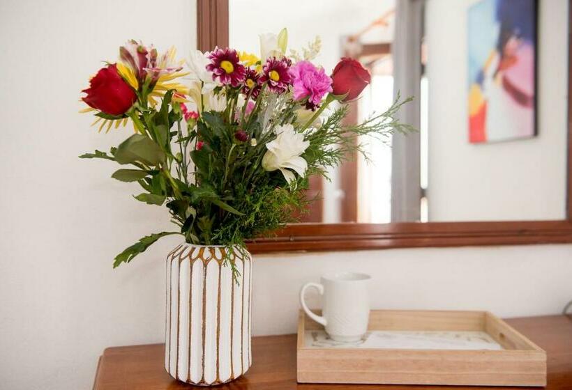 חדר סטנדרט לשלושה, Acapulco