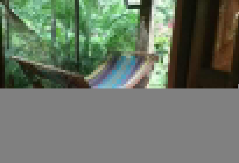 اتاق استاندارد با چشمانداز باغ, De Campo Apastepe