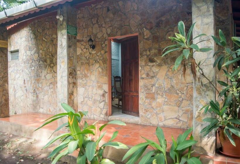 اتاق خانوادگی, De Campo Apastepe