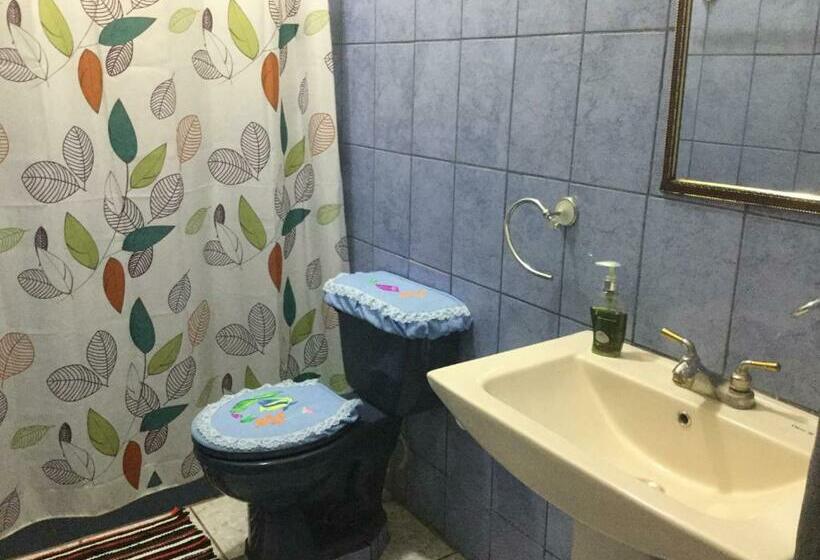 اتاق استاندارد با چشمانداز باغ, De Campo Apastepe